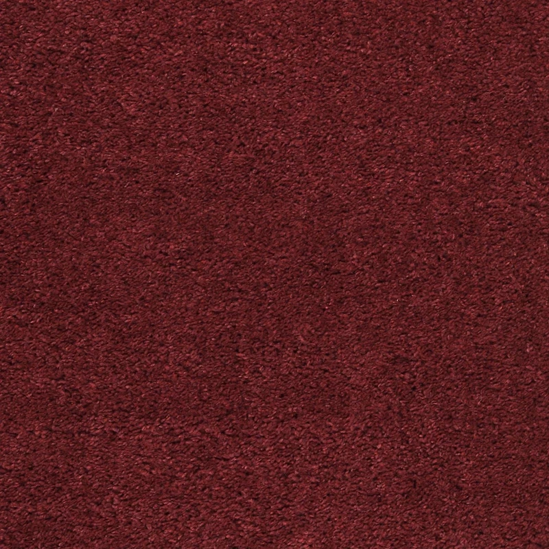 SAFAVIEH August Carlene Solid Plush Shag Area Rug