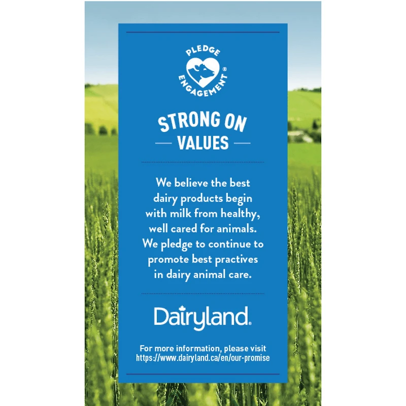Dairyland 1% Chocolate Partly Skimmed Milk