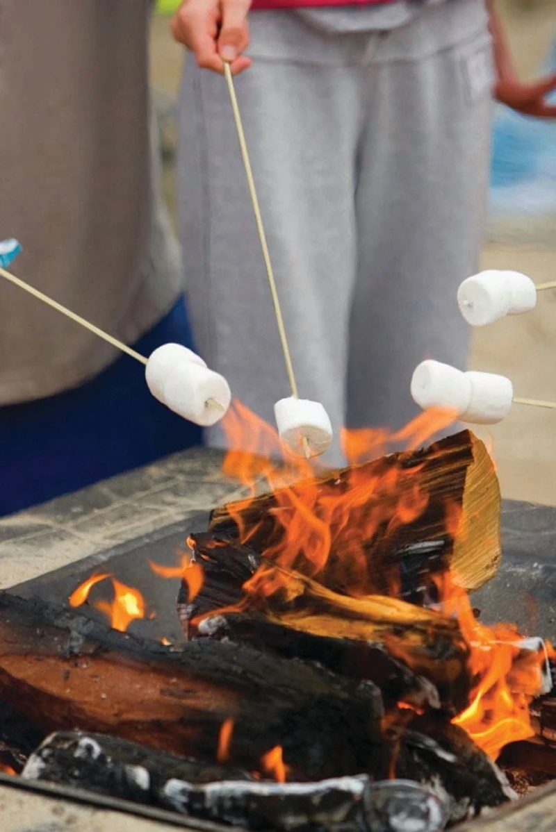 Expert Grill Large Bamboo Skewers, MARSHMALLOW STICKS