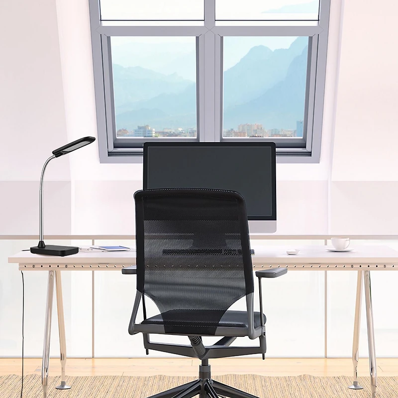 Lampe de bureau en métal à ampoule DEL intégrée, col de cygne en chrome, 5 watts, 260 lumens