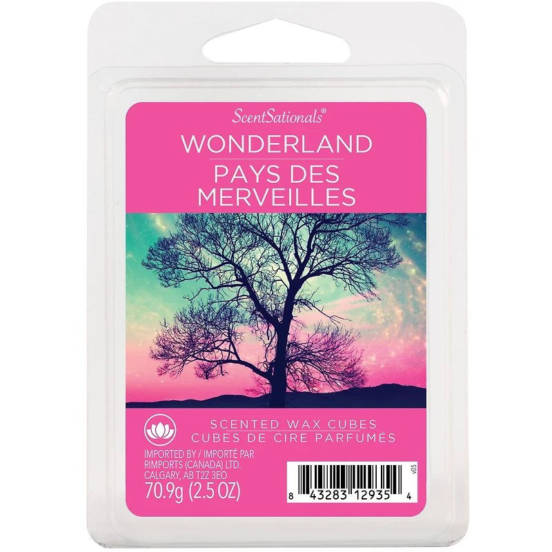 Cubes de cire parfumée ScentSationals - Pays des merveilles 2,5 fois (70,9 g)