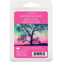 Cubes de cire parfumée ScentSationals - Pays des merveilles 2,5 fois (70,9 g)