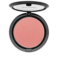 Blush Color Icon