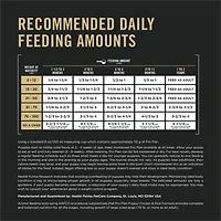 Purina Pro Plan Développement Formule Poulet et Riz, Nourriture Sèche pour Chiots