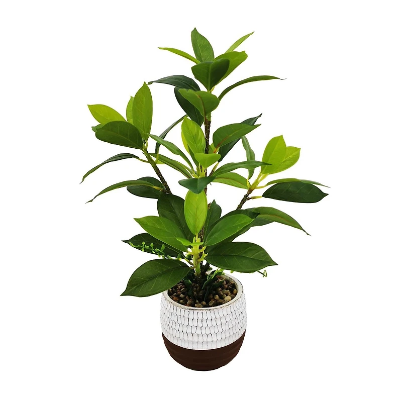 Plante de Lerman Decor en pot de ciment Plante artificielle