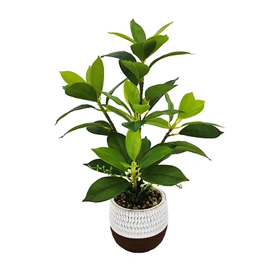 Plante de Lerman Decor en pot de ciment Plante artificielle