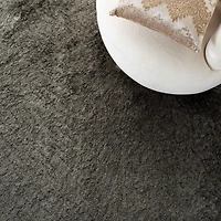 Safavieh Paris Darwin Plush Shag Area Rug