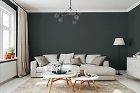 Rust-Oleum Sure Colour™ Peinture + Apprêt, Intérieur Coquille d'oeuf, Noir Charbon 3,78L 3,78L
