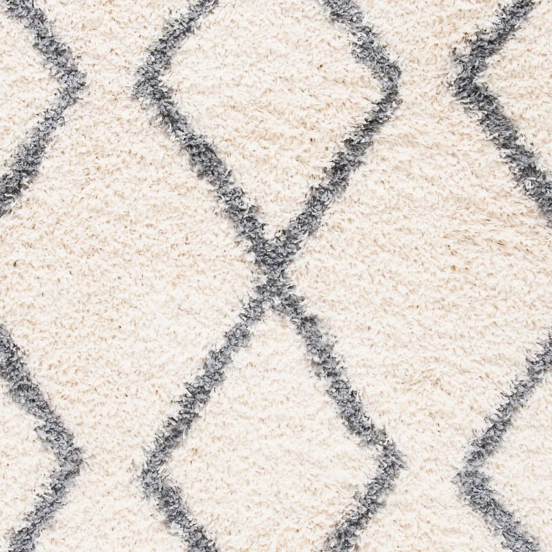 Safavieh Venus Nanda Tapis Géométrique Shag