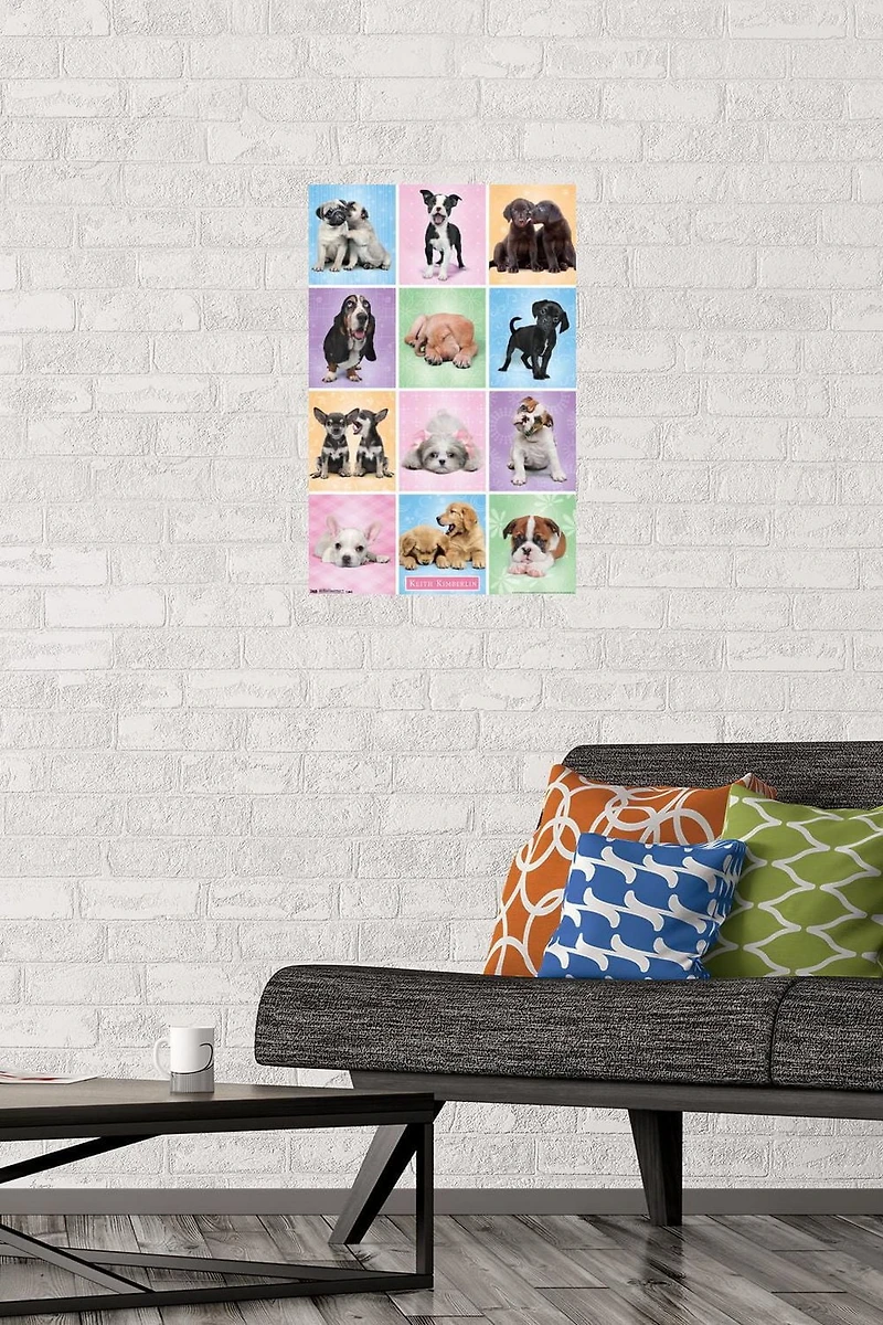 Keith Kimberlin - Puppies - Cuties Grid Wall Poster, 22.375" x 34"
