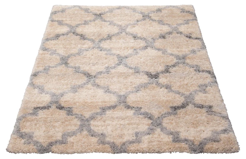 ECARPET Trellis Frieze Area Rug Fluffy Carpet for Bedroom, Ultra Soft & Plush Annica Collection