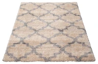 ECARPET Trellis Frieze Area Rug Fluffy Carpet for Bedroom, Ultra Soft & Plush Annica Collection