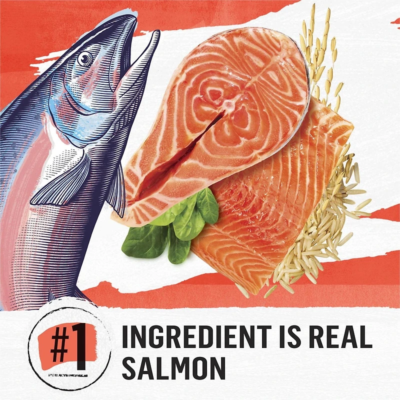 Beyond Simply Salmon & Whole Brown Rice Recipe, Dry Cat Food, 2.72 kg
