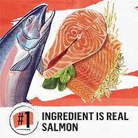 Beyond Simply Salmon & Whole Brown Rice Recipe, Dry Cat Food, 2.72 kg