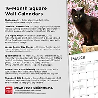 BrownTrout Black Cats 2024 12x24 Inch Square Wall Calendar, 9781975461805