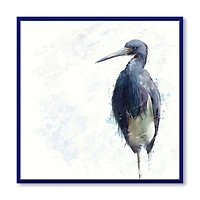 Designart Tricolored Heron Bird FLOAT FRAME WALL ART