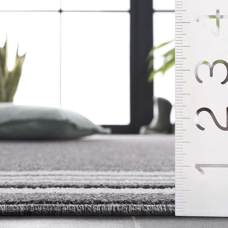 SAFAVIEH Cabana Rado Bordered Indoor/Outdoor Area Rug