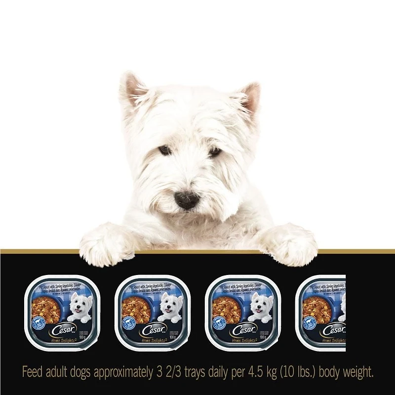 Cesar Home Delights Pot Roast with Spring Vegetables Soft Wet Dog food, 100g