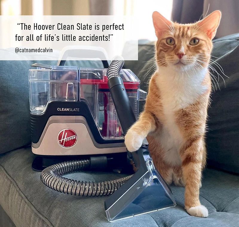 Hoover Appareil de nettoyage CleanSlate pour les dégâts d’animaux sur les moquettes et les tissus d’ameublement