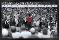 Tiger Woods - The Tiger Effect Wall Poster, 22.375" x 34"