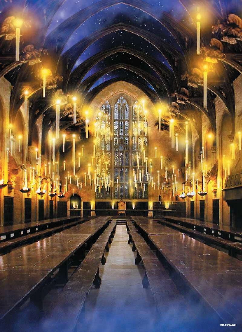 USAopoly Harry Potter “Great Hall” 1000 Piece Puzzle
