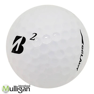Mulligan -  12 Bridgestone E6 Lady  5A Pristine Recycled Used Golf Balls