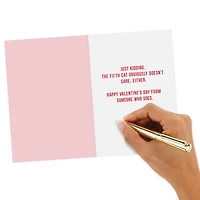Hallmark Shoebox Pack of 4 Funny Valentine's Day Cards (Cats Don’t Care)