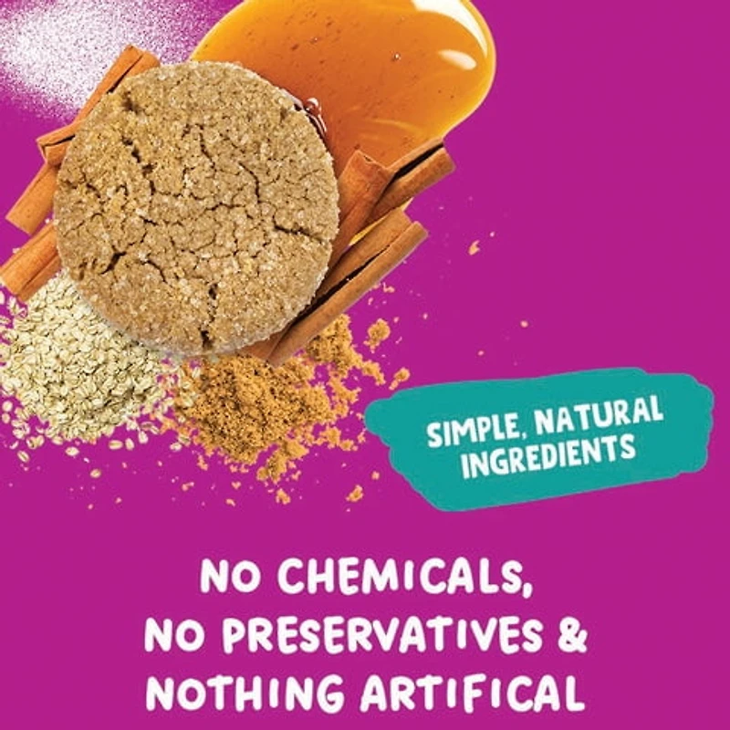 Allergy Smart Gluten Free Snickerdoodle Cookies, 140g Bag