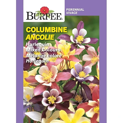 Burpee Arlequin Couleurs Mélangées Par - Columbine