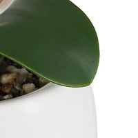 Fausse orchidée rose Parrigan dans un pot blanc 26cm H x 16,5cm L x 15,2cm P