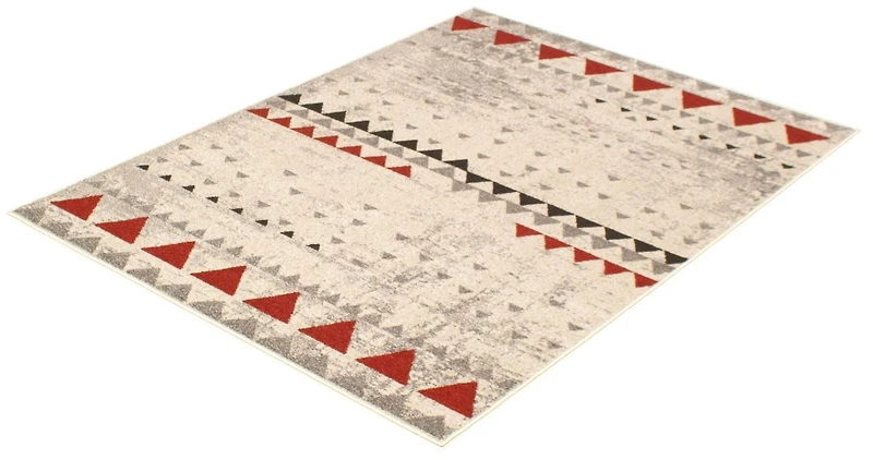 ECARPET Modern Geometric Indoor Area Rug Remi Collection