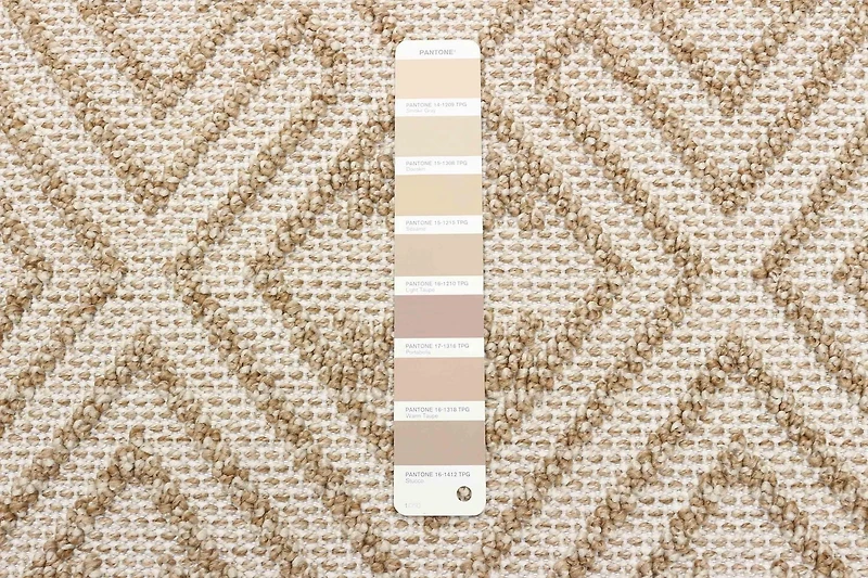 ECARPET Jute Style Area Rug for Bedroom, Living Room, Dining Room Hampshire Collection