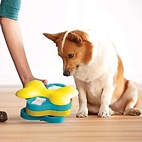 Nina Ottosson De Outward Hound Jouet Pour Chien Casse-Tête À Gâteries Interactif Tornade Casse-Tête Engageant
