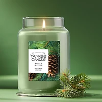 Bougie en grand pot Yankee Candle, parfumée avec jusqu’à 150 heures de temps de combustion, baume et cèdre