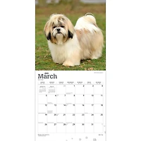 Shih Tzu | 2023 12x24 Inch Square Wall Calendar
