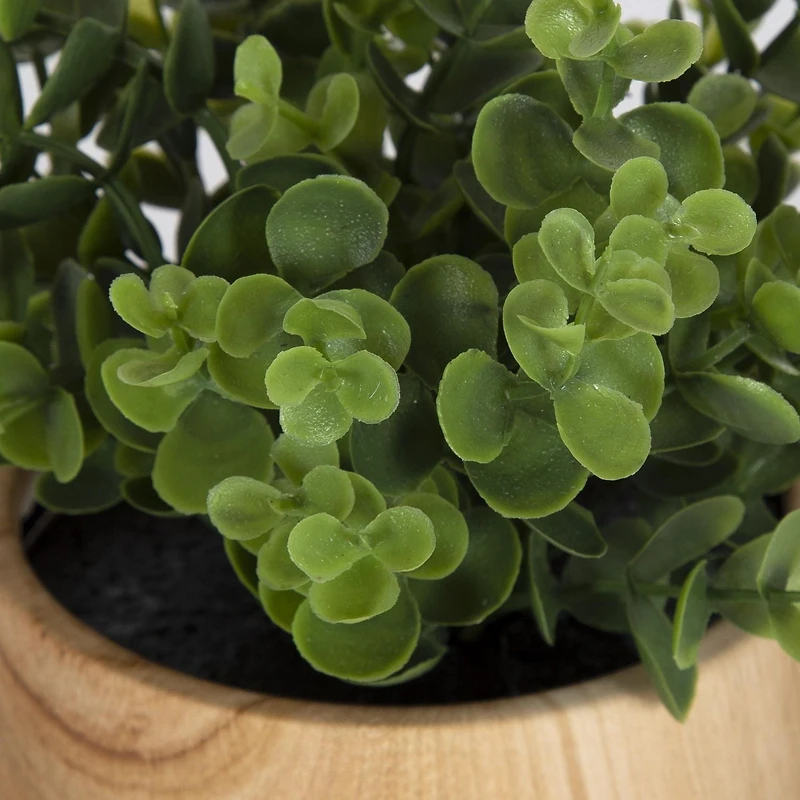 Jessie Faux Eucalyptus Plant in Brown Pot