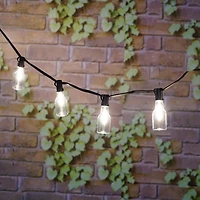 Mainstays 10-count Warm White LED Bottle String Lights - Black Wire, LED String Lights