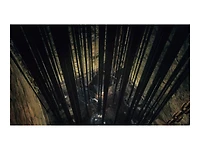 Dark Souls Remastered PS4]