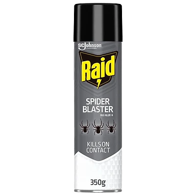Raid Spider Blaster Insect Killer Spray, Kills Bugs on Contact, For Indoor and Outdoor Use, 350g