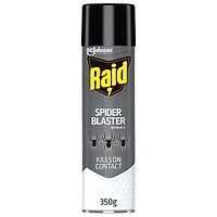 Raid Spider Blaster Insect Killer Spray, Kills Bugs on Contact, For Indoor and Outdoor Use, 350g