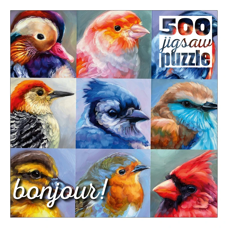 Buffalo Games Bonjour Wild Bird Collage Puzzle de 500 pièces pour adultes de 14 à 99 ans