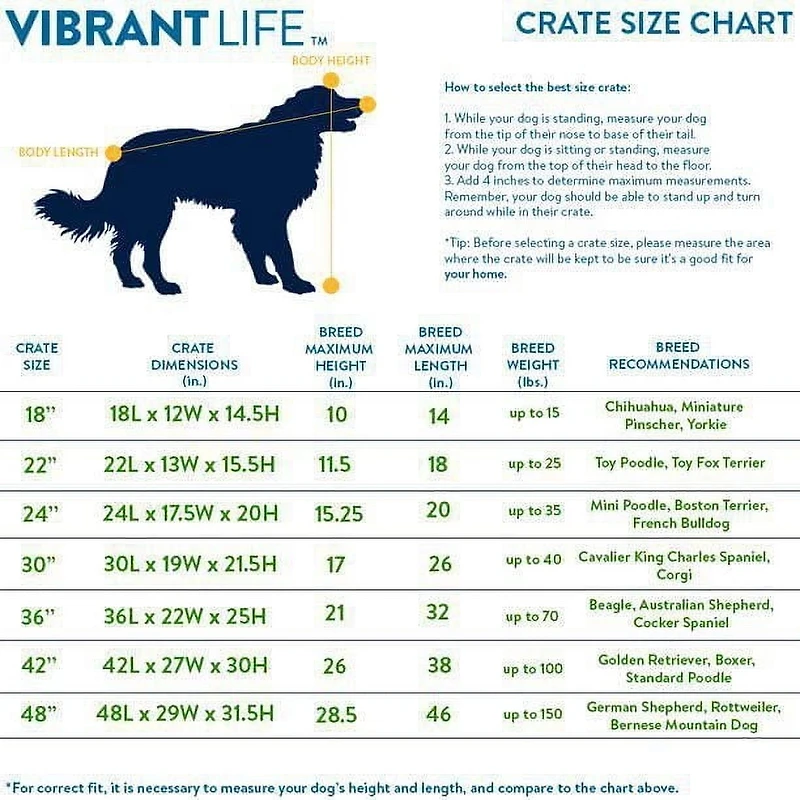 Vibrant Life Double-Door Metal Wire Dog Crate with Divider