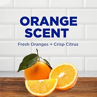 Savon pour les mains qui élimine les bactéries Dawn Ultra, Orange, 473 mL