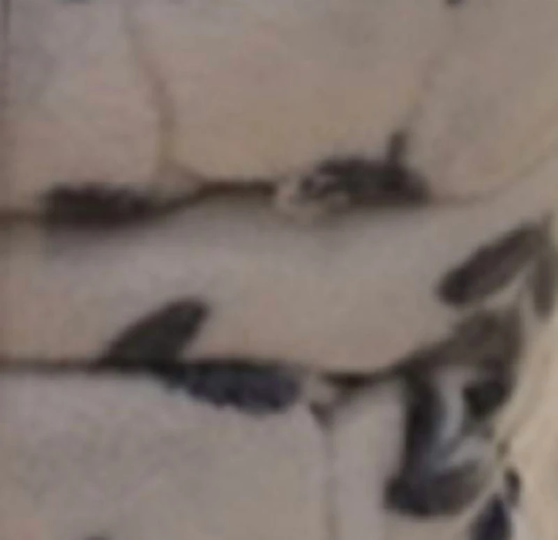 Ensemble de draps en molleton