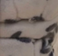 Ensemble de draps en molleton