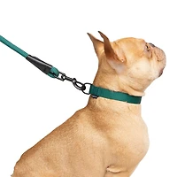 One Paw, Ensemble de 3 Colliers et Laisses pour Chien, avec Distributeur de Sacs, Plusieurs Couleurs One Paw, Ensemble de 3 Colliers et Laisses