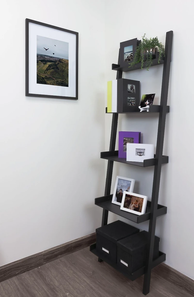 Kiera Grace Bestselling Providence Hadfield Decorative Engineered Wood 5-Tier Leaning Ladder Bookshelf For Home, Room, & Office, 14”L x 18”W x 66”H, Black
