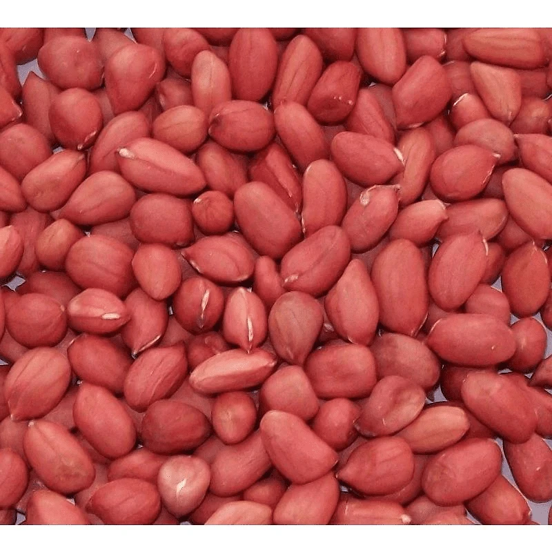 APPLEWOOD SIGNATURE ARACHIDE BIOLOGIQUE D'un rouge éclatant avec une taille de particules et un éclat uniformes, ces cacahuètes biologiques à peau rouge sont remplies d'un goût pur et délicieux. Qu'elles soient brassées, frites, bouillies, braisées ou combinées avec d'autres ingrédients, ces cacahuètes à peau rouge complètent parfaitement