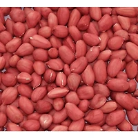 APPLEWOOD SIGNATURE ARACHIDE BIOLOGIQUE D'un rouge éclatant avec une taille de particules et un éclat uniformes, ces cacahuètes biologiques à peau rouge sont remplies d'un goût pur et délicieux. Qu'elles soient brassées, frites, bouillies, braisées ou combinées avec d'autres ingrédients, ces cacahuètes à peau rouge complètent parfaitement