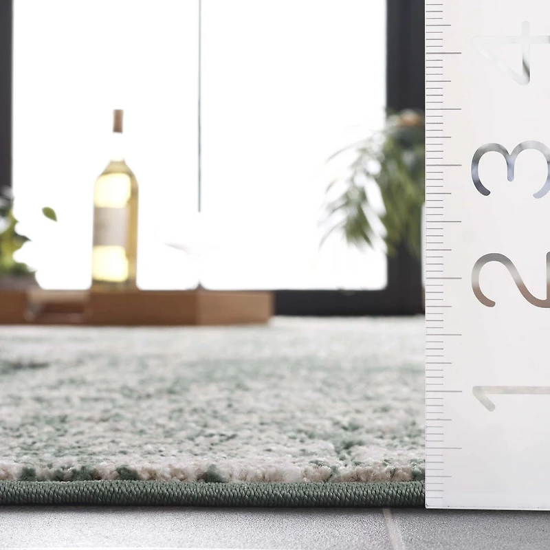 SAFAVIEH Cabana Selma Distressed Indoor/Outdoor Area Rug